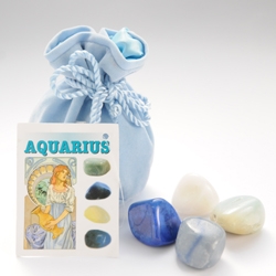 12星座のタリスマン 水瓶座